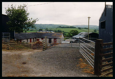 Cefn Bach farm