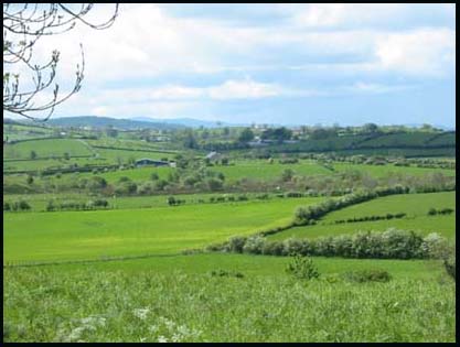 Lackan, Drumballyroney